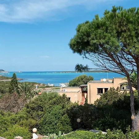 Wide Bay Pelosa