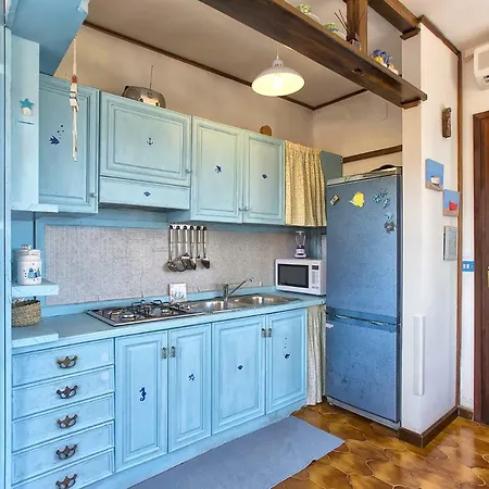 Wide Bay Pelosa